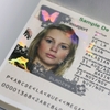 Hoja de policarboante de impresión offset para la fabricación de tarjetas de identificación-WallisPlastic